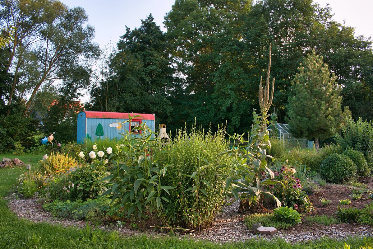 Jardin dans un quartier résidentiel