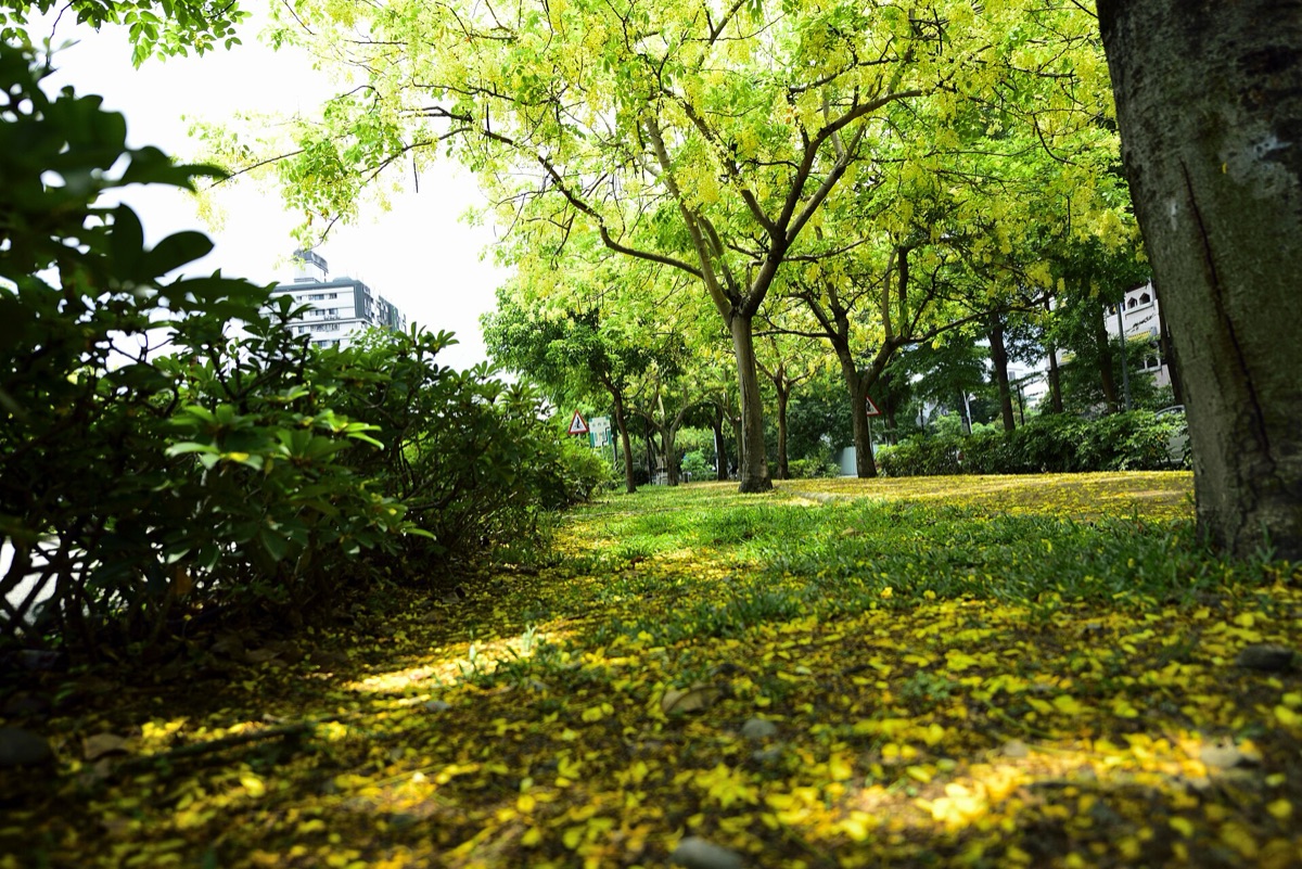 台灣台中市霧峰區15分鐘城市公園，兒童遊樂場與休閒座椅與街邊咖啡廳相映成趣